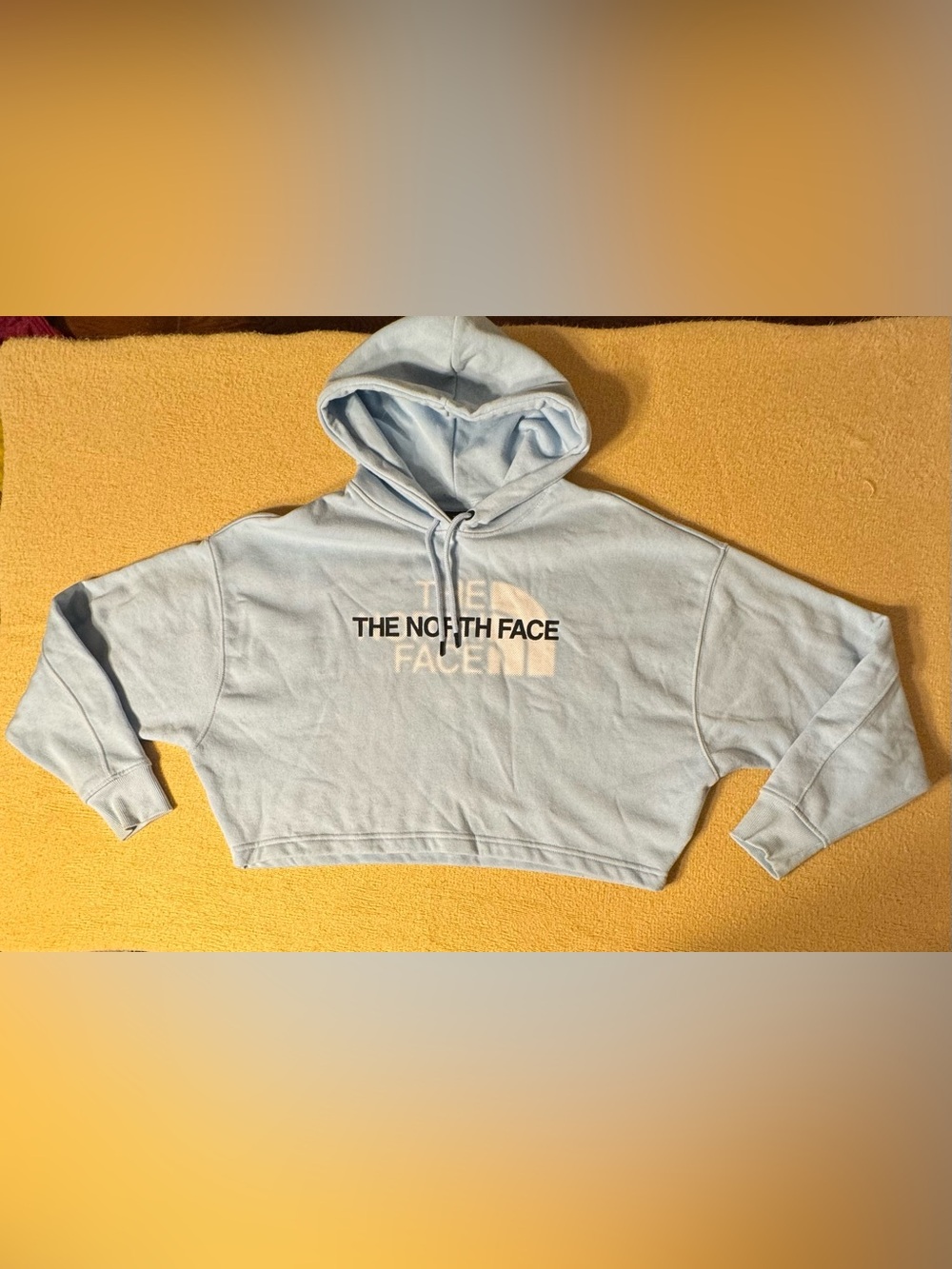 The North Face Pale Blue Women's Hoodie with Logo